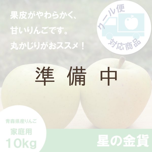 画像1: 星の金貨　家庭用　１０kg（約28-40個）≪送料込≫ (1)