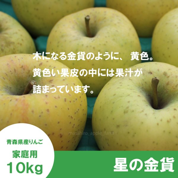 画像3: 星の金貨　家庭用　１０kg（約28-40個）≪送料込≫ (3)