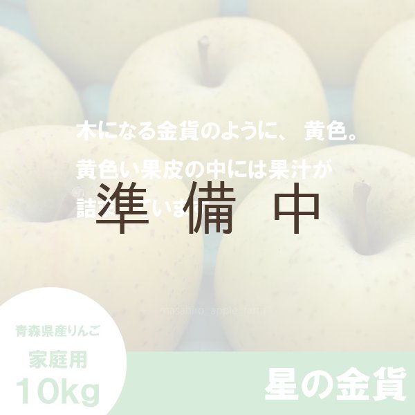 画像3: 星の金貨　家庭用　１０kg（約28-40個）≪送料込≫ (3)