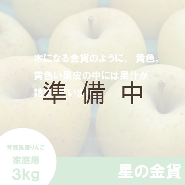 画像3: 星の金貨　家庭用　３kg（約9-12個）≪送料込≫ (3)