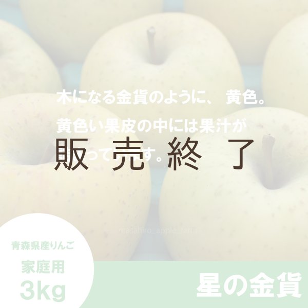 画像3: 星の金貨　家庭用　３kg（約9-12個）≪送料込≫ (3)