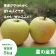 画像1: 星の金貨　家庭用　５kg（約14-20個）≪送料込≫ (1)