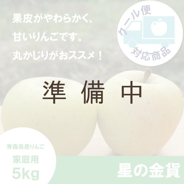 画像1: 星の金貨　家庭用　５kg（約14-20個）≪送料込≫ (1)