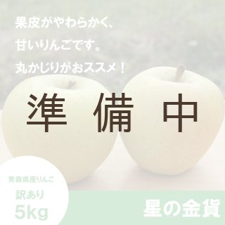 星の金貨【家庭用5kg】｜まさひろ林檎園