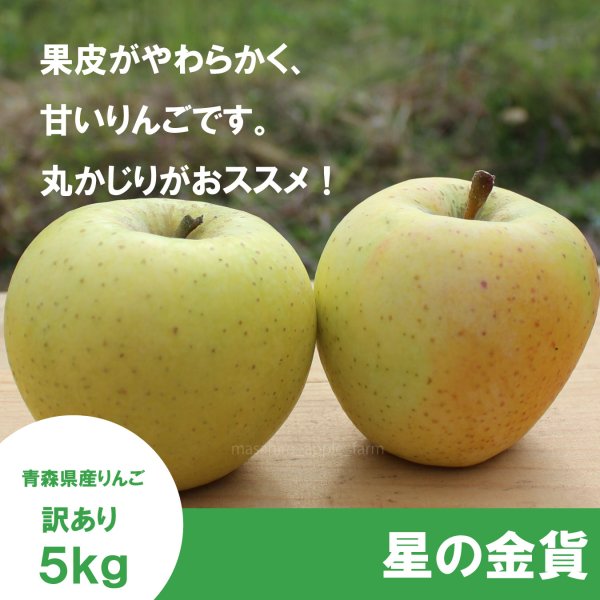 画像1:  星の金貨　訳あり　５kg（約20個前後）≪送料込≫ (1)