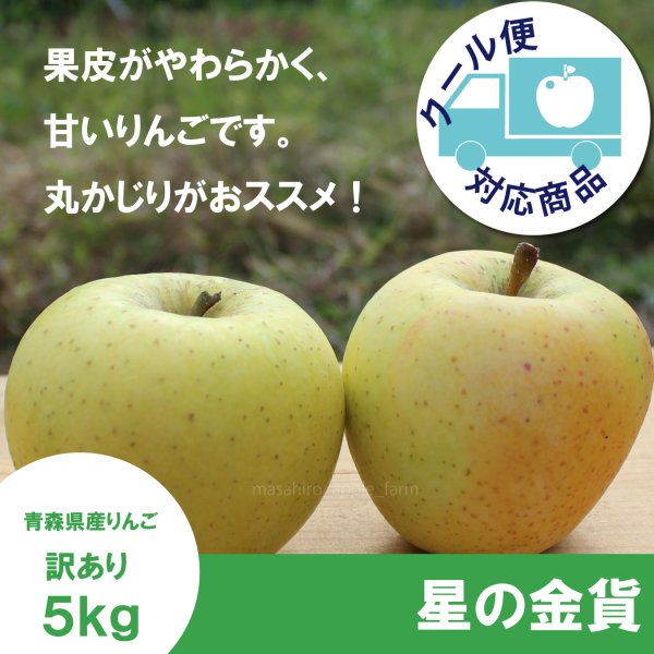 画像1: ※10月下旬発送※  星の金貨　訳あり　５kg（約20個前後）≪送料込≫ (1)