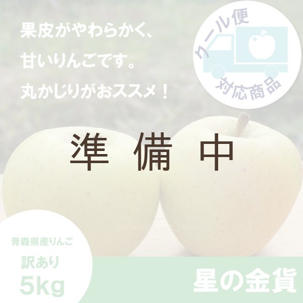 画像1:  星の金貨　訳あり　５kg（約20個前後）≪送料込≫ (1)