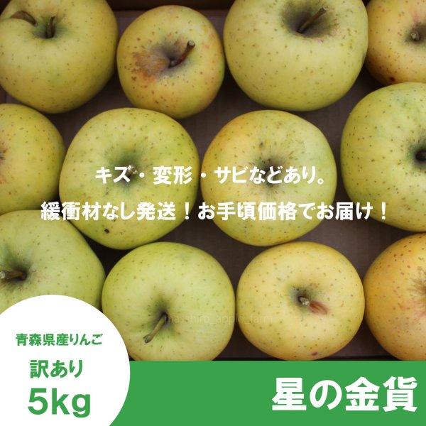 画像2:  星の金貨　訳あり　５kg（約20個前後）≪送料込≫ (2)