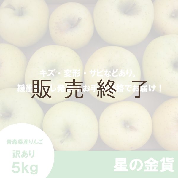 画像2:  星の金貨　訳あり　５kg（約20個前後）≪送料込≫ (2)