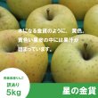 画像3: ※11月上旬発送※ 星の金貨　訳あり　５kg（約20個前後）≪送料込≫ (3)
