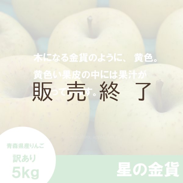 画像3:  星の金貨　訳あり　５kg（約20個前後）≪送料込≫ (3)