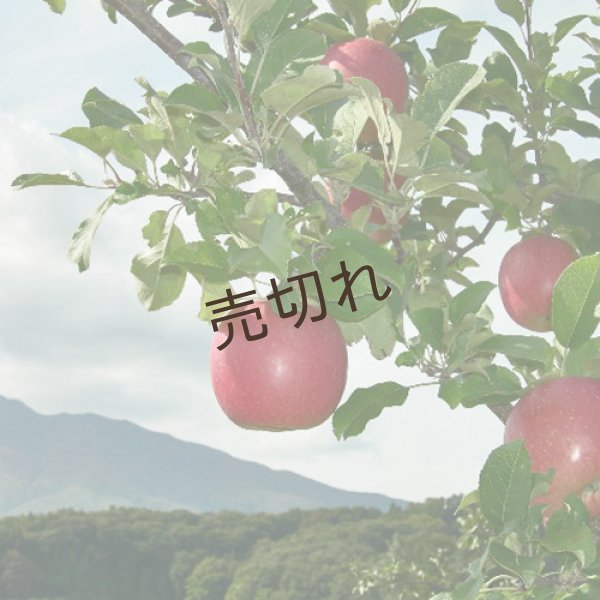 青森県産りんごジュース/青森りんご｜まさひろ林檎園
