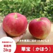 画像1: 華宝 -かほう-　家庭用　３kg（約6-8個）≪送料込≫ (1)