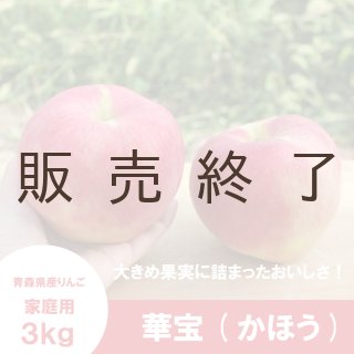 未希ライフ【家庭用3kg】｜まさひろ林檎園
