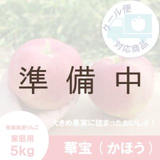 王林【家庭用5kg】｜まさひろ林檎園