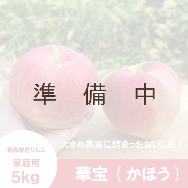 画像1: 華宝 -かほう-　家庭用　５kg（約12-14個）≪送料込≫ (1)