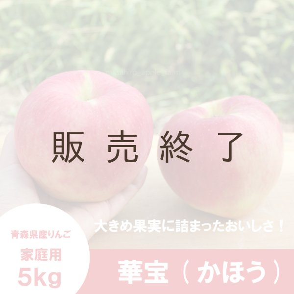 画像1: 華宝 -かほう-　家庭用　５kg（約12-14個）≪送料込≫ (1)