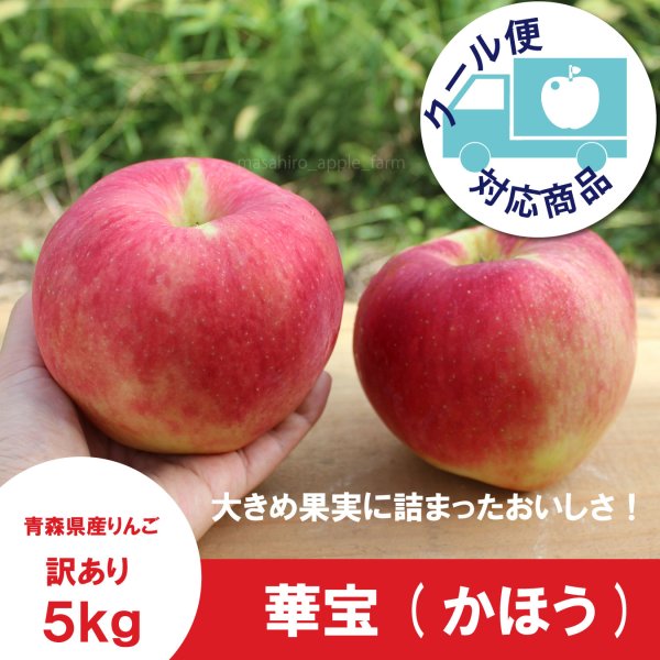 画像1: ※9月中旬発送予定※　華宝 -かほう-　訳あり　５kg（約20個程度）≪送料込≫ (1)