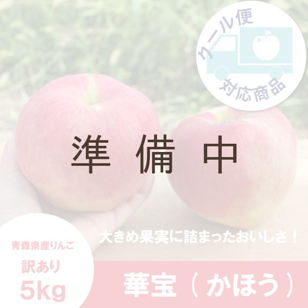 画像1: 華宝 -かほう-　訳あり　５kg（約20個程度）≪送料込≫ (1)