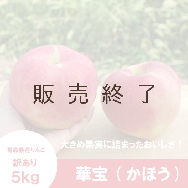 画像1: 華宝 -かほう-　訳あり　５kg（約20個程度）≪送料込≫ (1)