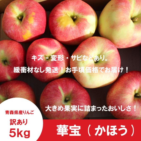 画像2: ※9月中旬発送予定※ 華宝 -かほう-　訳あり　５kg（約20個程度）≪送料込≫ (2)