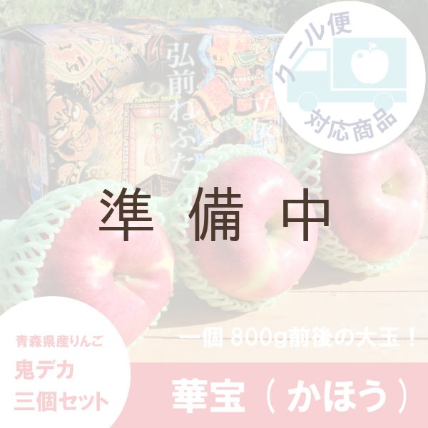 画像1: ※数量限定※ 華宝 -かほう-　鬼デカ３個セット（一玉約800g）≪送料込≫ (1)