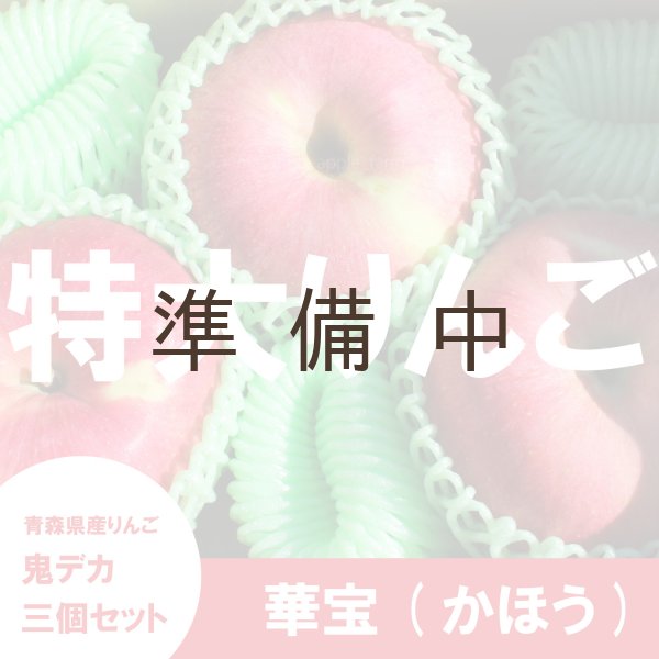 りんご様♡order商品 りんご王子のりんご | apple only