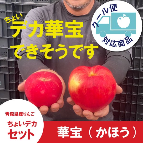画像1: ※9月中旬発送予定※ ★数量限定★ 華宝 -かほう-　ちょいデカセット（一玉約600g 6〜7個入）≪送料込≫ (1)