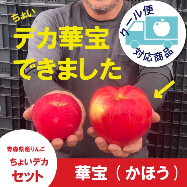 画像1: ※数量限定※ 華宝 -かほう-　ちょいデカセット（一玉約600g 6〜7個入）≪送料込≫ (1)