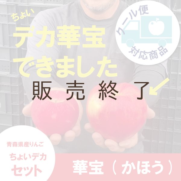 画像1: ※数量限定※ 華宝 -かほう-　ちょいデカセット（一玉約600g 6〜7個入）≪送料込≫ (1)