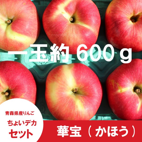 画像2: ※9月中旬発送予定※ ★数量限定★ 華宝 -かほう-　ちょいデカセット（一玉約600g 6〜7個入）≪送料込≫ (2)