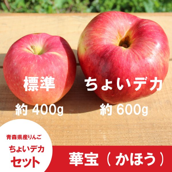 画像3: ※9月中旬発送予定※ ★数量限定★ 華宝 -かほう-　ちょいデカセット（一玉約600g 6〜7個入）≪送料込≫ (3)