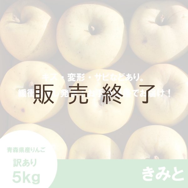 画像2: きみと　訳あり　５kg（約20個程度）≪送料込≫ (2)