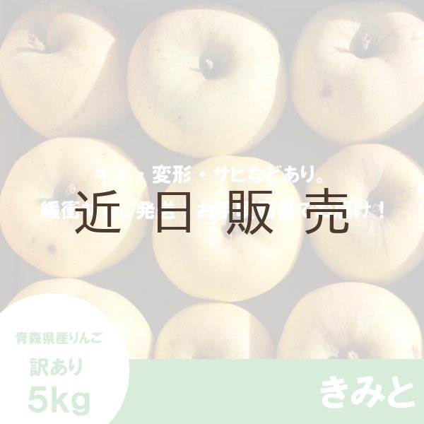 画像2: きみと　訳あり　５kg（約20個程度）≪送料込≫ (2)