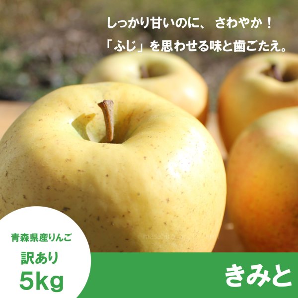 画像1: きみと　訳あり　５kg（約20個程度）≪送料込≫ (1)