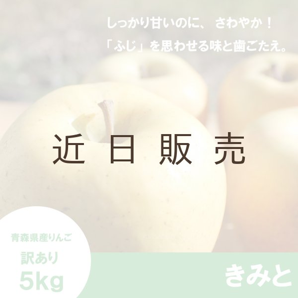 画像1: きみと　訳あり　５kg（約20個程度）≪送料込≫ (1)