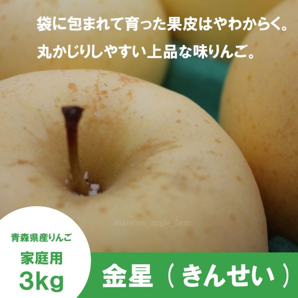 画像1: 金星　家庭用　３kg （約7-12個）≪送料込≫ (1)