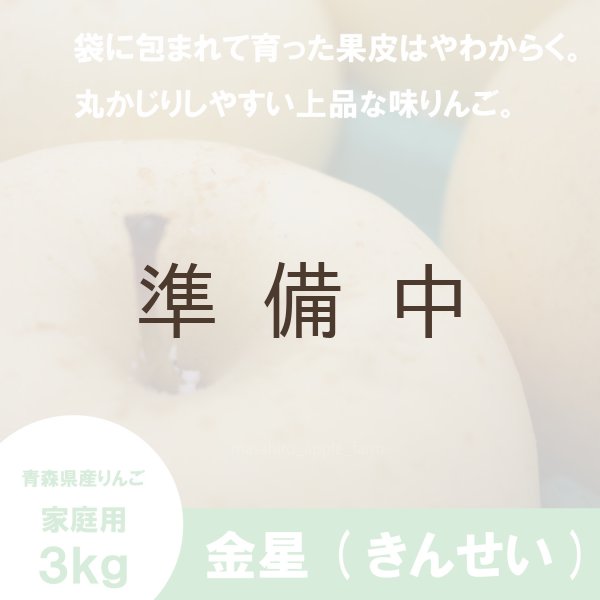 画像1: ※11月下旬〜12月上旬発送※ 金星　家庭用　３kg （約7-12個）≪送料込≫ (1)
