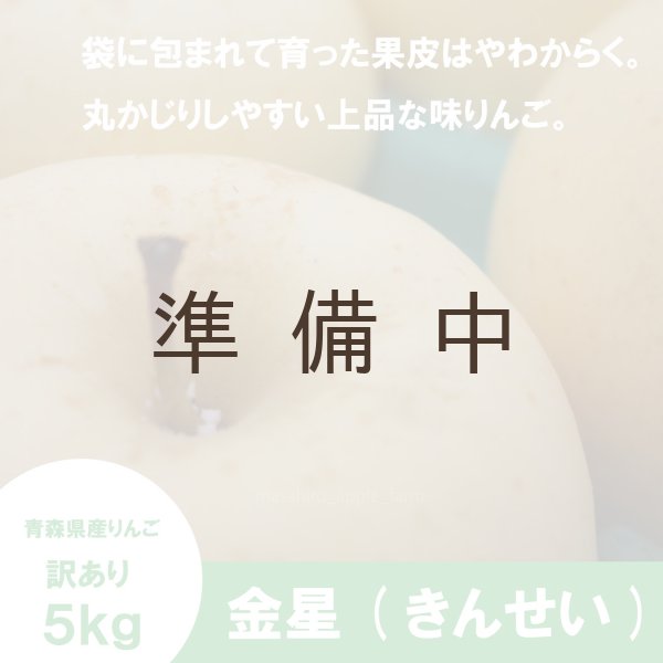 画像1: ※11月下旬〜12月上旬発送※ 金星　訳あり　５kg ≪送料込≫ (1)
