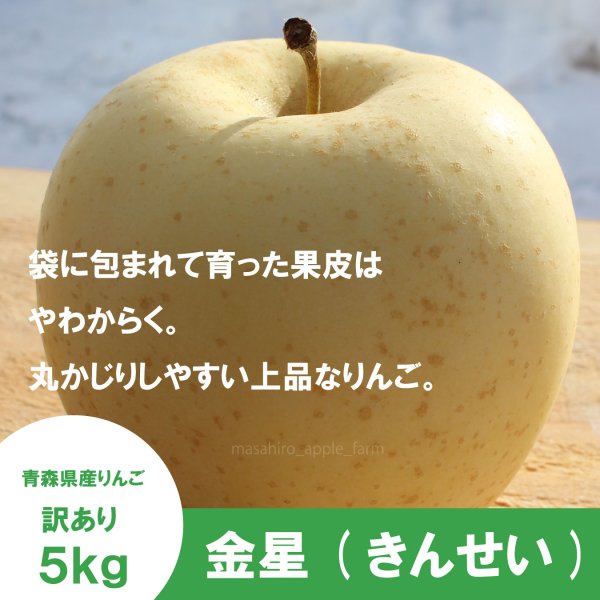 画像1: 金星　訳あり　５kg（約12-20個）≪送料込≫ (1)