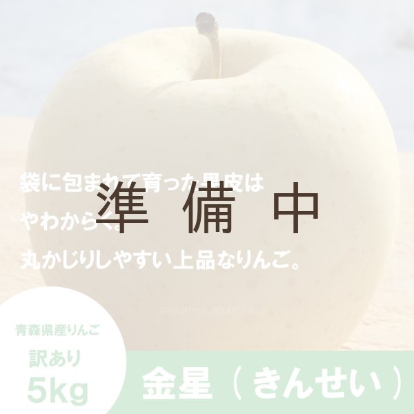 画像1: 金星　訳あり　５kg（約12-20個）≪送料込≫ (1)