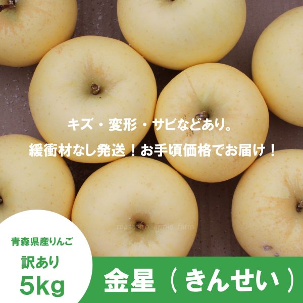 画像2: 金星　訳あり　５kg（約12-20個）≪送料込≫ (2)