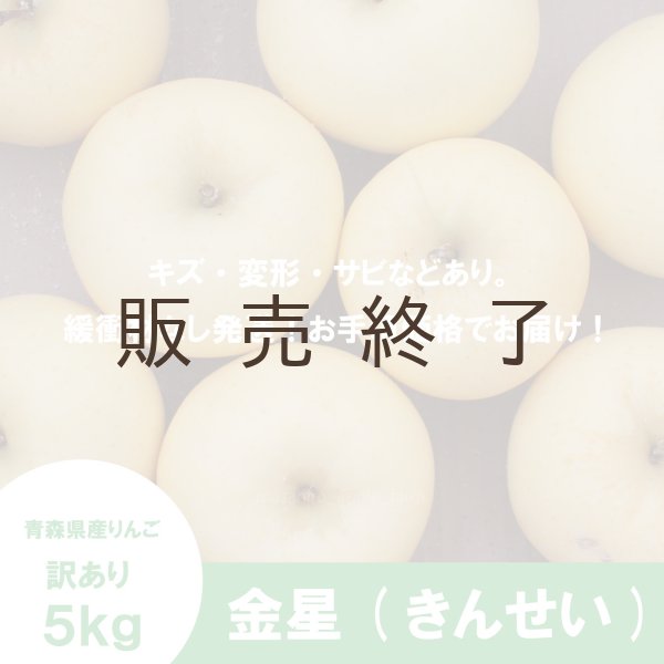 画像2: 金星　訳あり　５kg（約12-20個）≪送料込≫ (2)