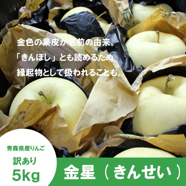 画像3: 金星　訳あり　５kg（約12-20個）≪送料込≫ (3)