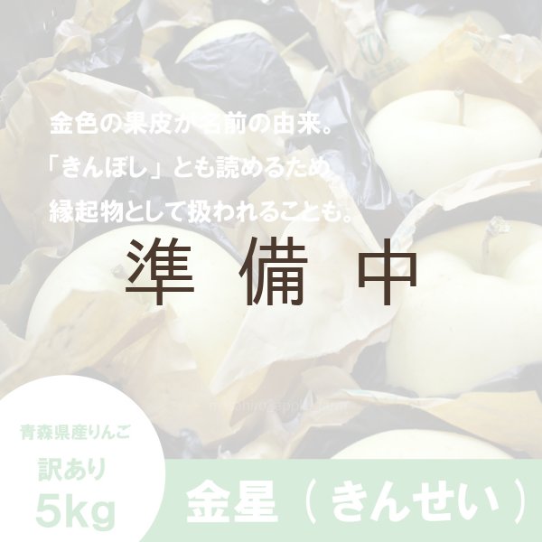 画像3: 金星 訳あり 5kg ≪送料込≫ (3)