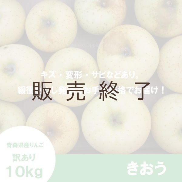 画像2: きおう　訳あり　１０kg（約40個程度）≪送料込≫ (2)