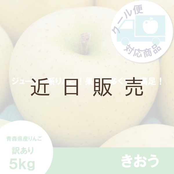 画像1: きおう　訳あり　５kg（約20個程度）≪送料込≫ (1)