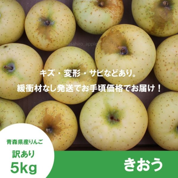 画像2: ※9月第二週発送予定※ きおう　訳あり　５kg（約20個程度）≪送料込≫ (2)