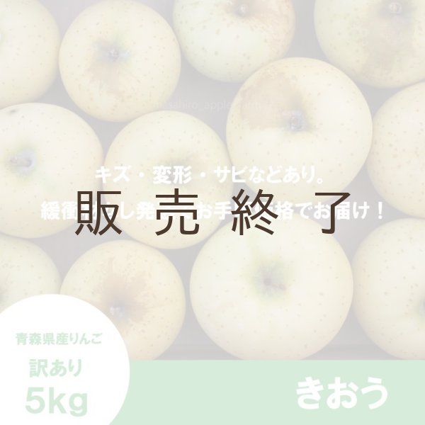 画像2: きおう　訳あり　５kg（約20個程度）≪送料込≫ (2)