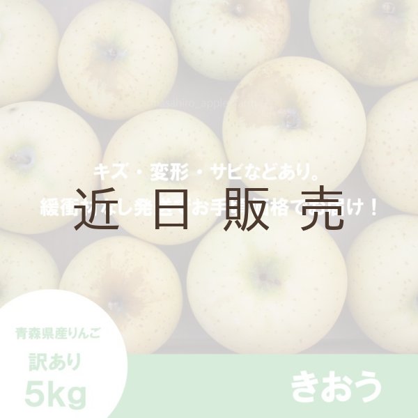 画像2: きおう　訳あり　５kg（約20個程度）≪送料込≫ (2)
